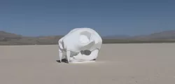 Cat Skull (Assembly)