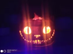 Cheshire Pumpkin Sectioned