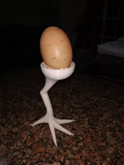 Chicken paw for egg