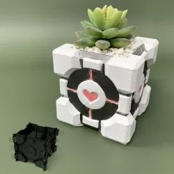 Companion Cube mold