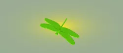 Dragonfly