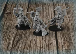 Dwarf Warrior