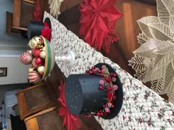 Eleni’s Christmas Top Hat!