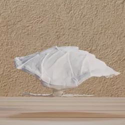 File : Animals Carapace Turtle in digital format