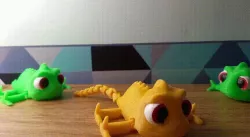 Flexi - Pascal Tangled / Tangled