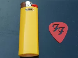 Foo Fighters logo cutout guitar pick