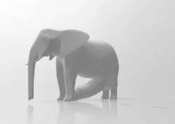 Growing ElephantDick