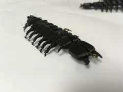 Hellgrammite hard bait split