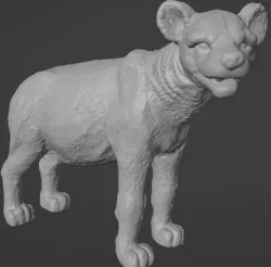 HENA - ANIMAL