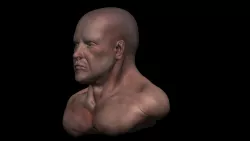 Human bust 1