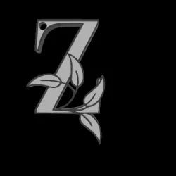 Key ring initial letter Z