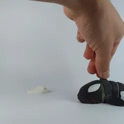 Killer whale (FLEXI, PRINT-IN-PLACE)