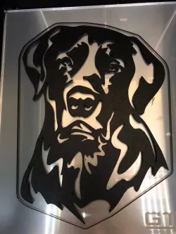 Labrador 2D