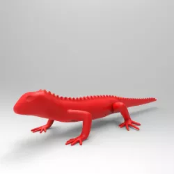 lizard