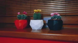 Low poly flower pot