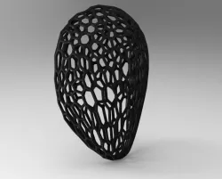 mask mask voronoi
