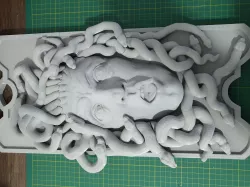 Medusa Head