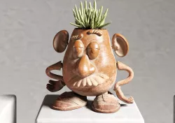 Mr potato planter
