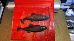 Paddle Tail Swimbait Mold