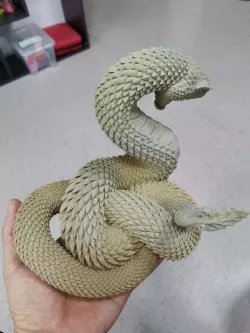 Rattlesnake