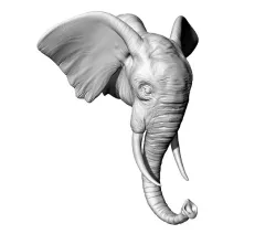Realistic Elephant head