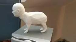 RocktoBara