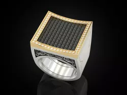 Secret Compartment ring 050721