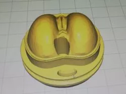 Sink Plug