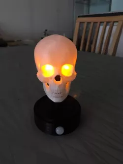 Skull and stand