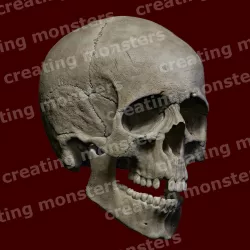 Skull - Skull STL
