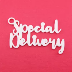 Special Delivery - Christmas Gift Tag