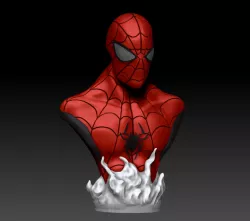 SPIDER MAN