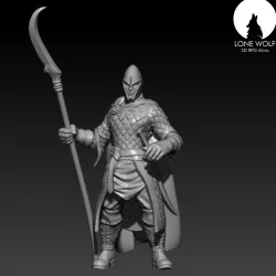 The Aes Sidhe Soldier with Spear