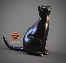 The Cat
