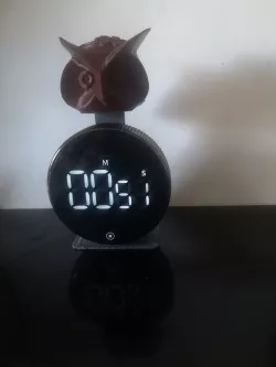 Timer door