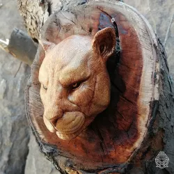 Wall cougar