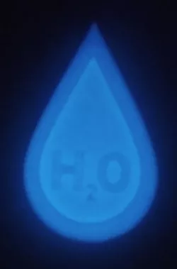 Water Bottle Tag