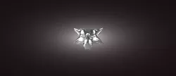 Witcher