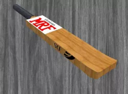 Cricket Bat
