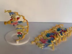 DNA Construction Set