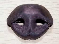 Dog nose version5