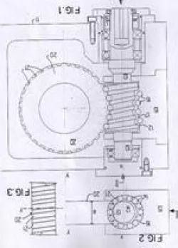 double worm globoidal screw