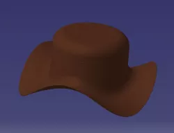 hat