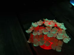 Hydrangea Portable LED Lamp