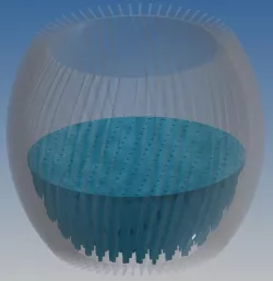Hydro Vase