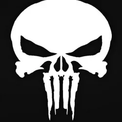Marvel's The Punisher