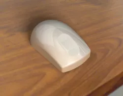 Mouse