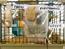 Operant conditioning chamber