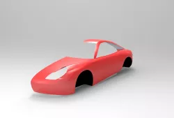 Porsche Carrera BodyWork