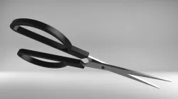 Scizzors